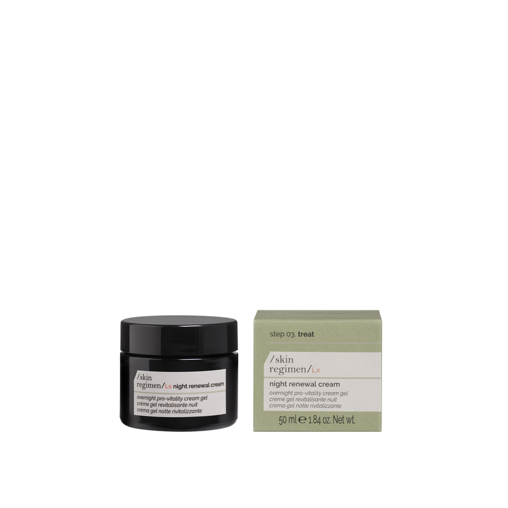 SKIN REGIMEN Ночной крем обновление и детокс