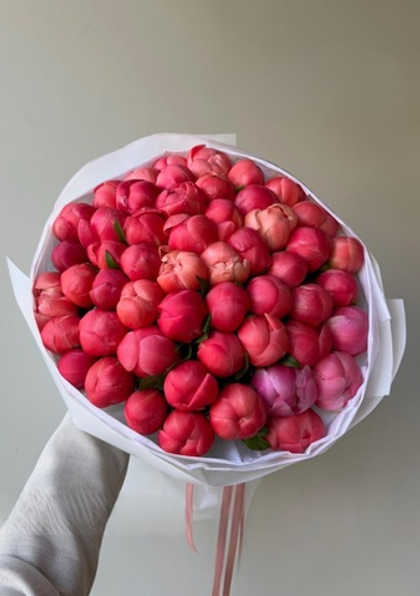 51 пион корал