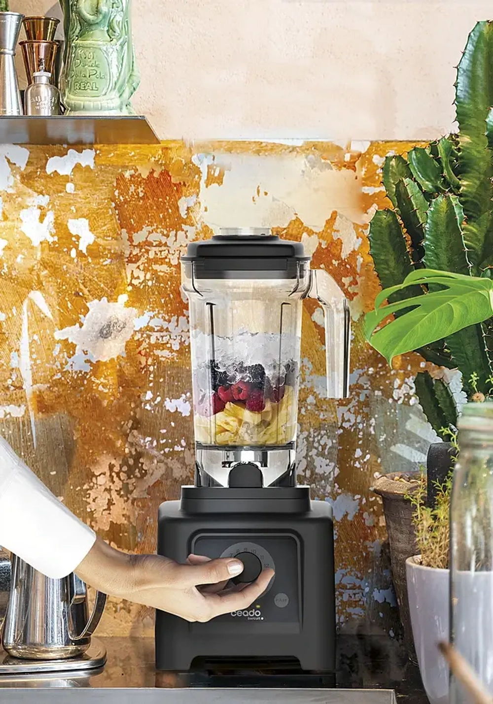 Блендер Ceado barcult B284