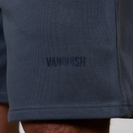 Шорты VANQUISH ESSENTIAL Heavywieght Shorts Blue