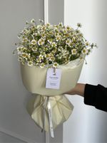 Букет из ромашек в оформлении