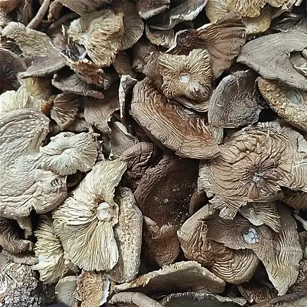 Пантерный мухомор (2 сорт)