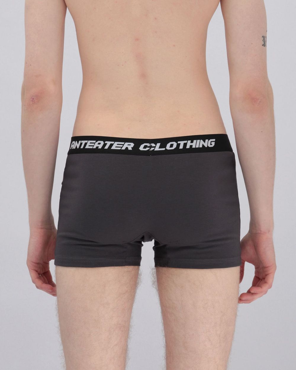 Трусы Набор Anteater Boxers Серые / Хаки