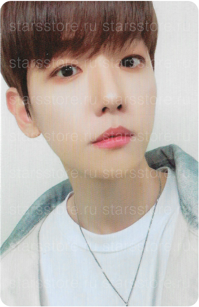 Фотокарта EXO BAEKHYUN TEO-LAE-GI ZIPDURI