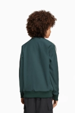Кофта adidas Juventus FC 25/26 Terrace Icons Full-Zip Junior - зеленый