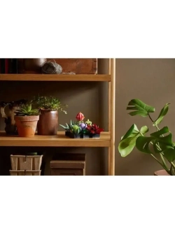 Конструктор Цветы Суккуленты 771 деталь 88039/подарок