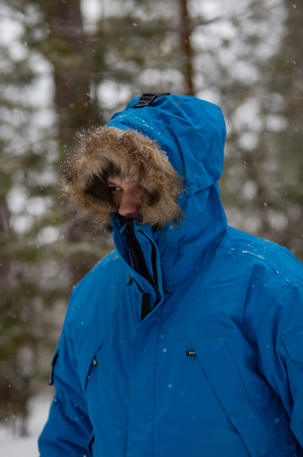 Пуховик Арктика