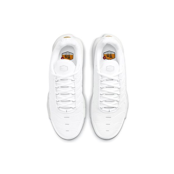 Кроссовки Nike Air Max Plus Мужские