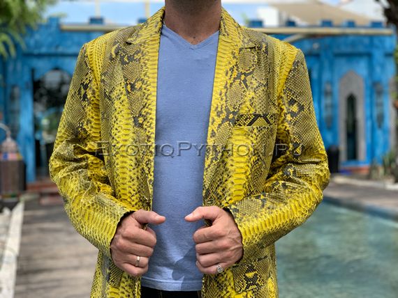 Пиджак из кожи питона JT-82