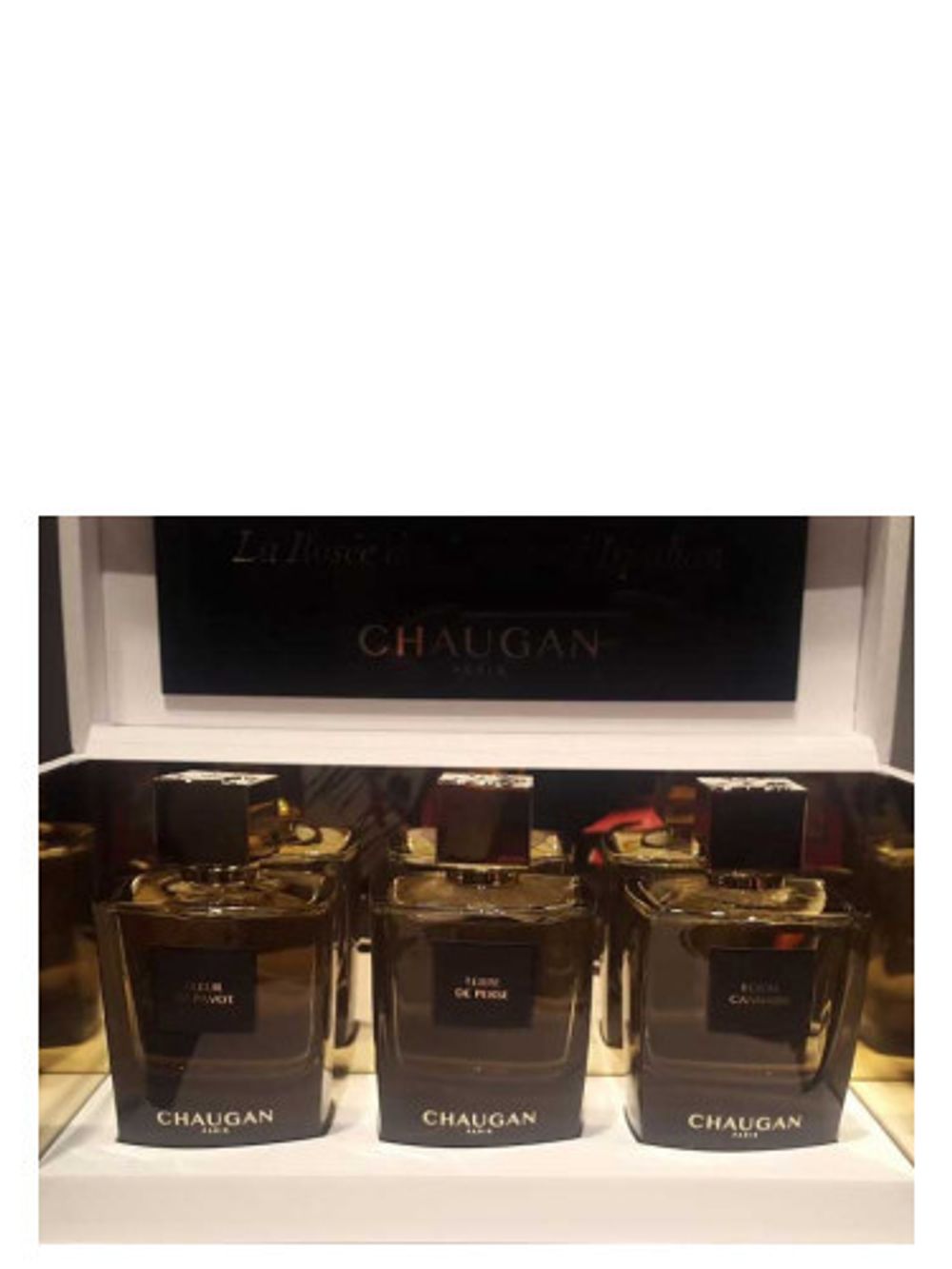 Chaugan Terre de Perse