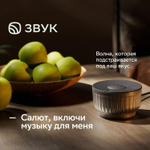 Умная колонка SBER Boom Mini 2 SBDV-00250G, 5Вт, с Салют, серый