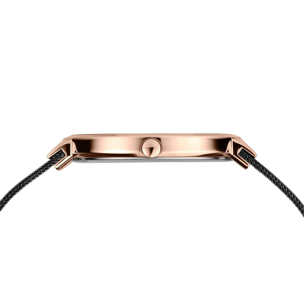 Наручные часы Bering 14539-166