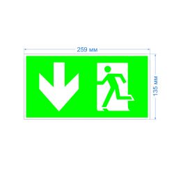 Пиктограмма ЭРА INFO-SSA-118 бэклит 259x128мм Человек-стрелка-вниз зеленая SSA-103
