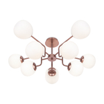 Потолочная люстра Maytoni Erich MOD221PL-10G