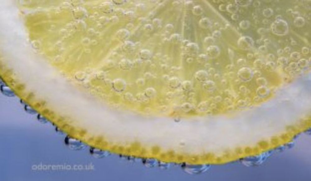 Odore Mio Wild Cologne