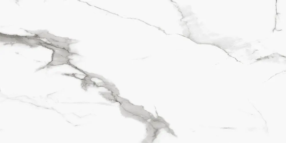 Керамогранит Royce Segesta Grey Polished 60x120 см (R_PR2004)