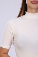 Водолазка 24370 Натали (Акция)