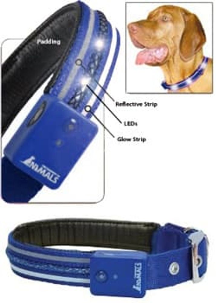 COA Ошейник светодиодный для собак VIVID M (37-47 см), синий