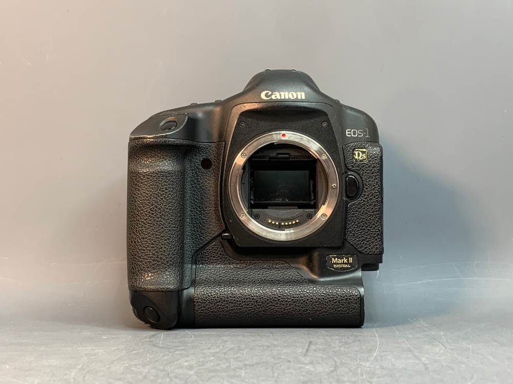 Canon EOS 1Ds Mark II body Отсутствует затвор, не включается