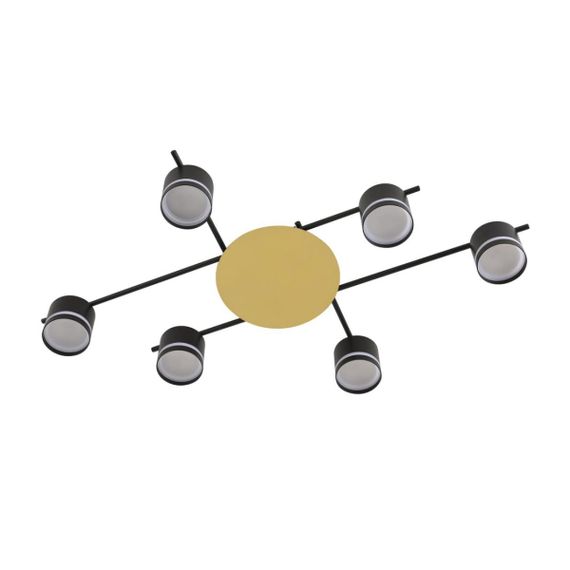 Светильник потолочный Lumion BENUA 8304/6C