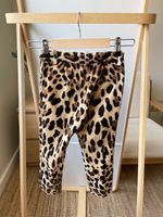 Новые брюки Dolce&Gabbana, 98