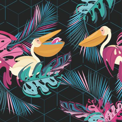 Геометрические тропики