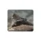 World of Tanks Tank Tiger II L