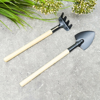 Набор инструментов для комнатных растений 2 предмета (лопатка, грабли)