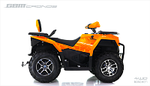 Квадроцикл GBM CRONOS 420 4WD EFI с ПСМ