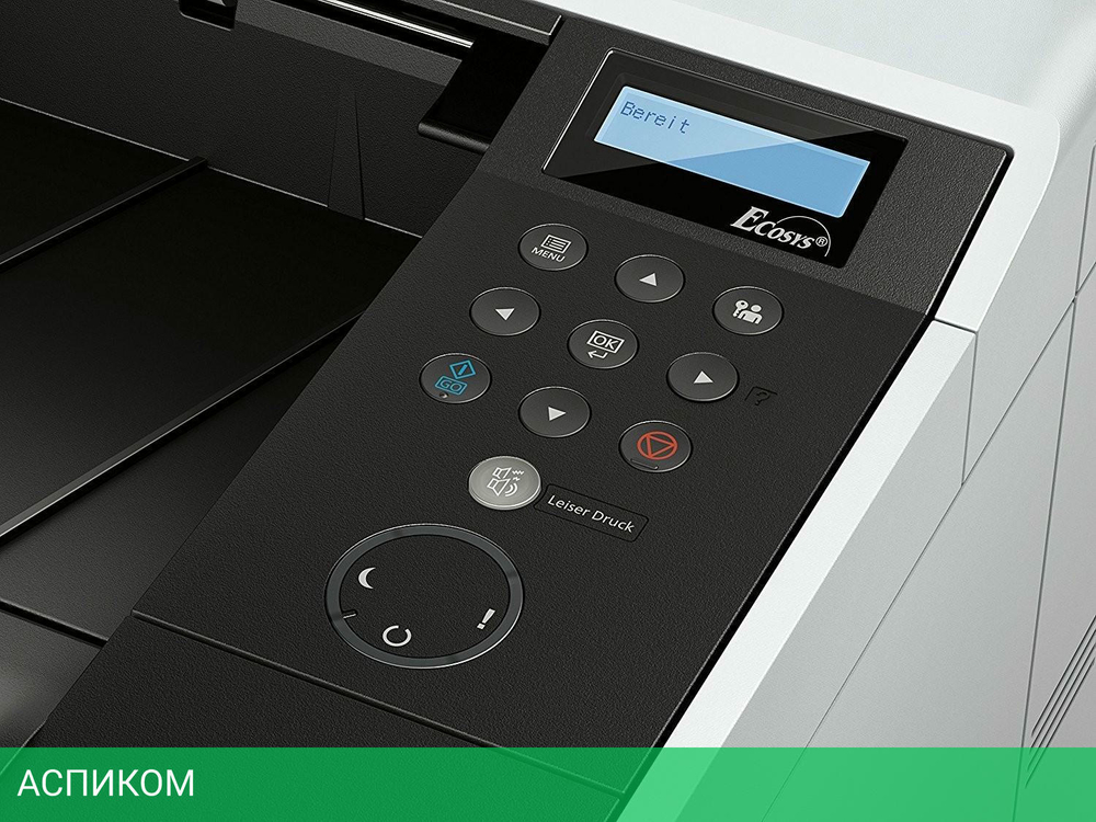 Принтер Kyocera Ecosys P2040DN (1102RX3NL0)