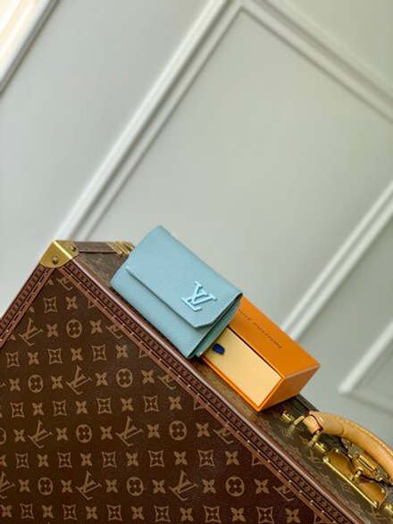 Louis Vuitton Aerogram Pilot Wallet