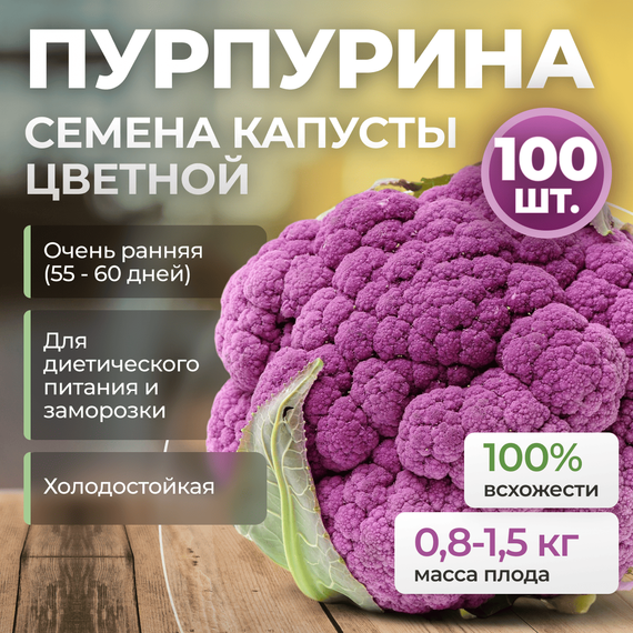 ПУРПУРИНА F1 семена капусты цветной (Sakata | Alexagro) – фото 3