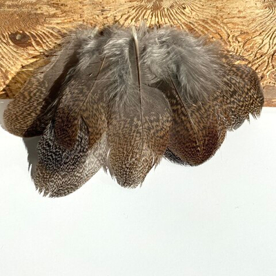 Перья глухаря 5-7 см 10 шт.