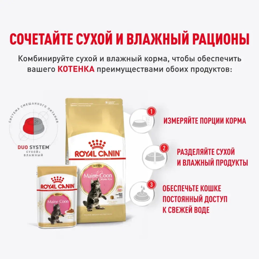 Royal canin kitten maine coon 85 г пауч влажный рацион для кошек породы мейн-кун в возрасте от 3 до 15 месяцев