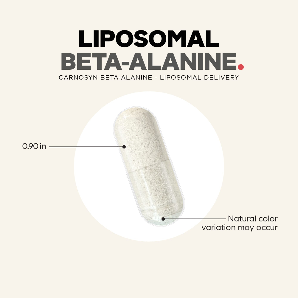 Codeage, Liposomal Beta-Alanine +, Centurion, CarnoSyn, улучшенное усвоение, 180 капсул (533 мг на капсулу)