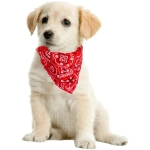 Ошейник с банданой для кошек и собак мелких пород «ЛЮБИМЫЙ БРО», цвет красный, р 23-40см/15*10*1,5см (лейбл)