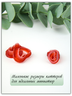 Бабочки № 1