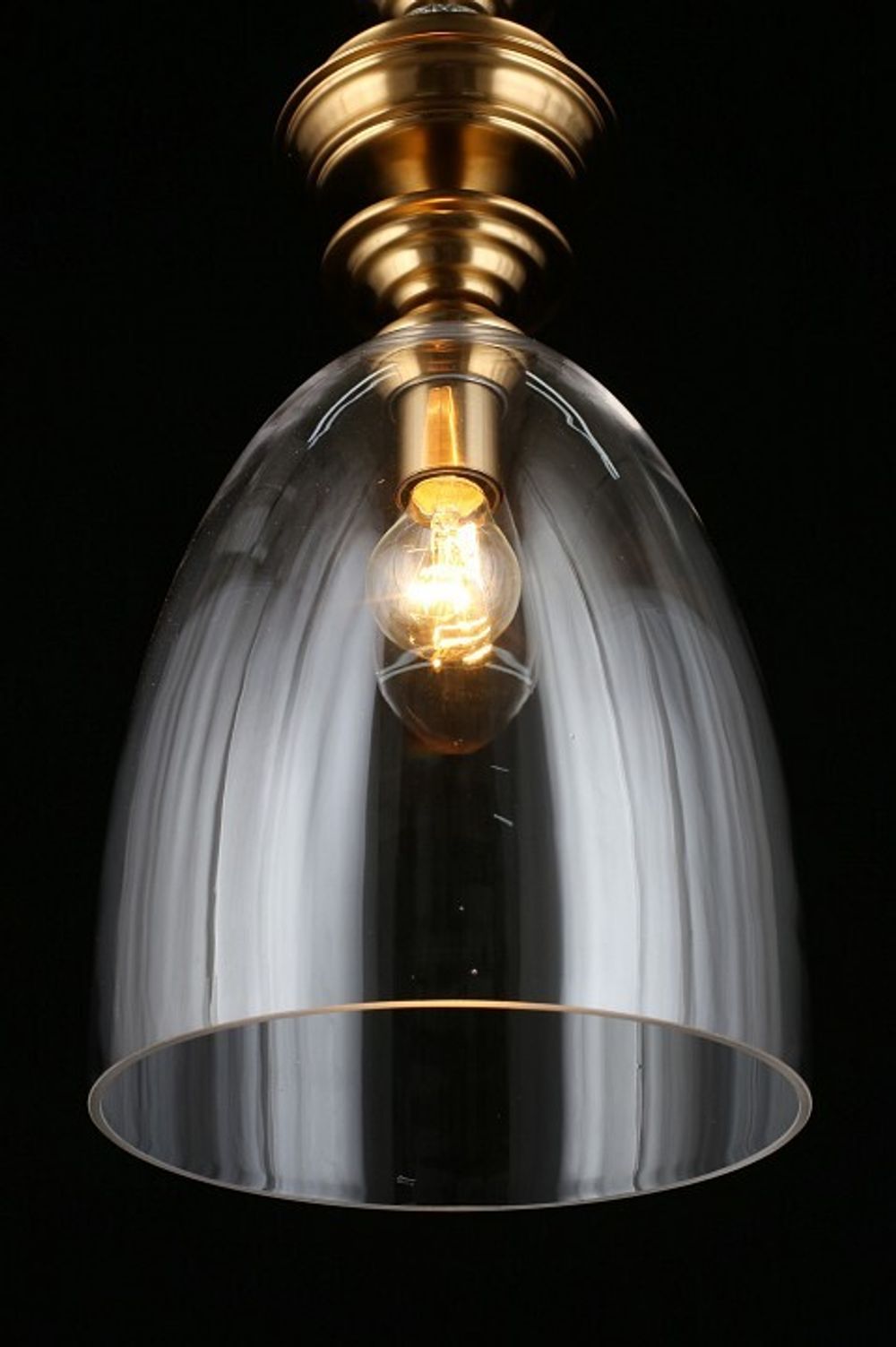 Подвесной светильник Aployt Rena APL.602.16.01