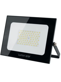 Прожектор светодиодный Lumin arte LFL-100W/05