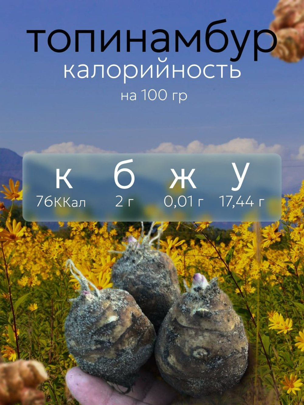 Топинамбур клубни