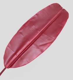 TR 607L Банановый лист