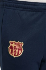 Штаны Nike FC Barcelona 23/24 Academy Pro Junior