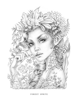 Wildflower Folk Coloring Book Christine Karron
