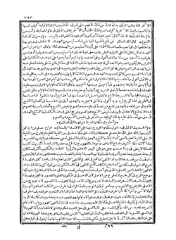 Ibn Arabi. Book 2 | Сборник