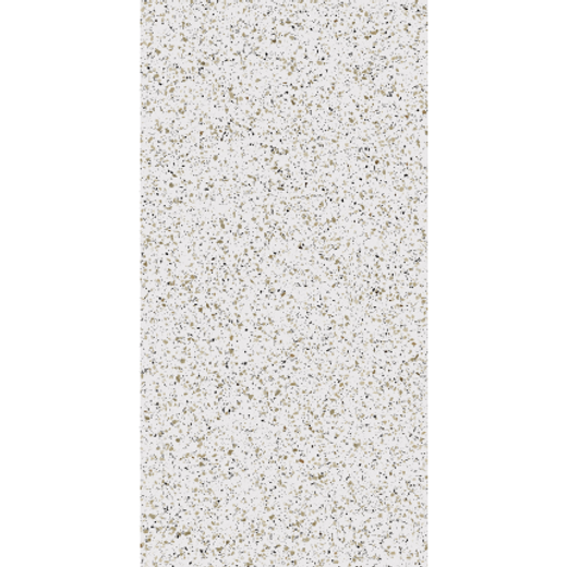 CM00  600*1200 керамогранит матовый