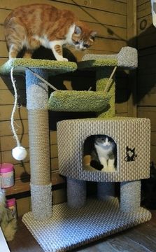 Домик для кота К-126