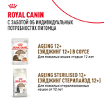 Royal Canin Ageing 12+ Корм консервированный для стареющих кошек старше 12 лет в желе 85г