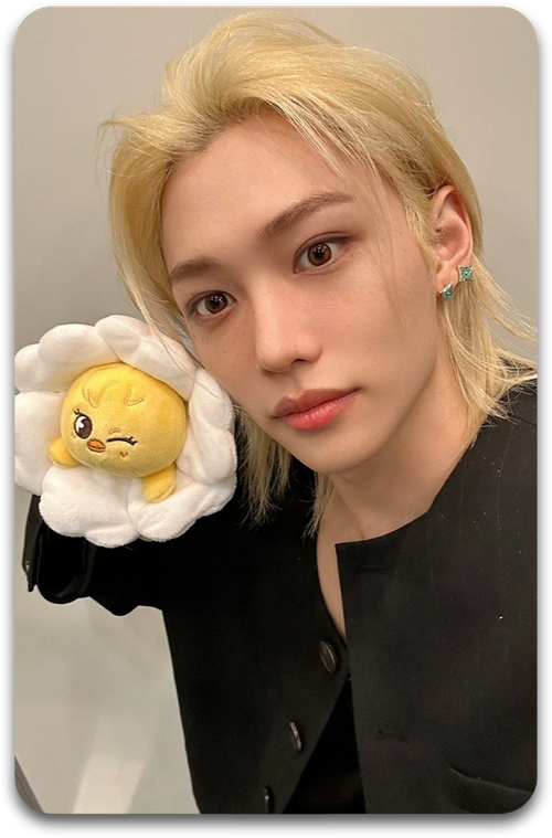 Карта / STRAY KIDS #2641