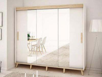 Шкаф-купе Руна трехстворчатый  FP51  240*60*260