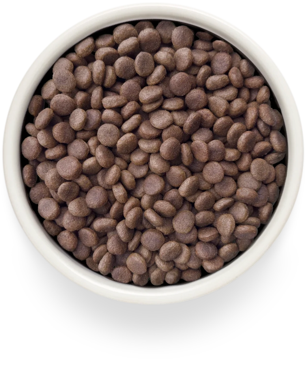 Сухой корм GRANDORF VETERINARY DIET Dog HYPOALLERGENIC Полнорационный диетический корм для собак с пищевой аллергией или непереносимостью, кролик 3кг